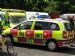 West Sussex Fire Investigation Dog Unit