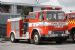 New Zealand Dodge - JI1634